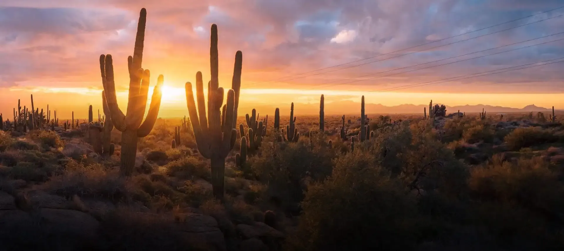 Dentist In Scottsdale, AZ - Pinnacle Peak Dentistry - Scottsdale